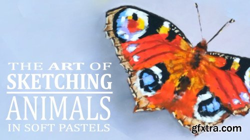 Sketching Animals in Soft Pastels with Kate Amedeo | Butterfly