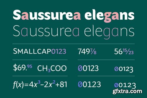 Hua Font Family