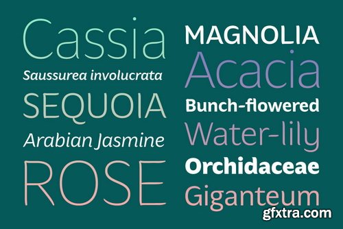 Hua Font Family