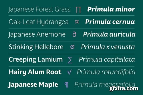 Hua Font Family