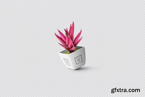 Plant Pot Mockups