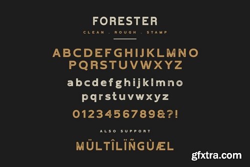 Forester Vintage Sans Serif