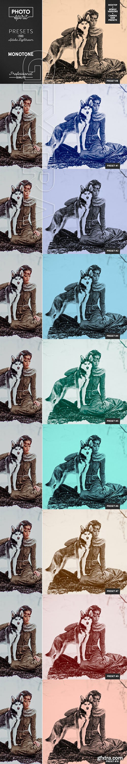 CreativeMarket - Monotone LR Presets Mobile + Desktop 3715132