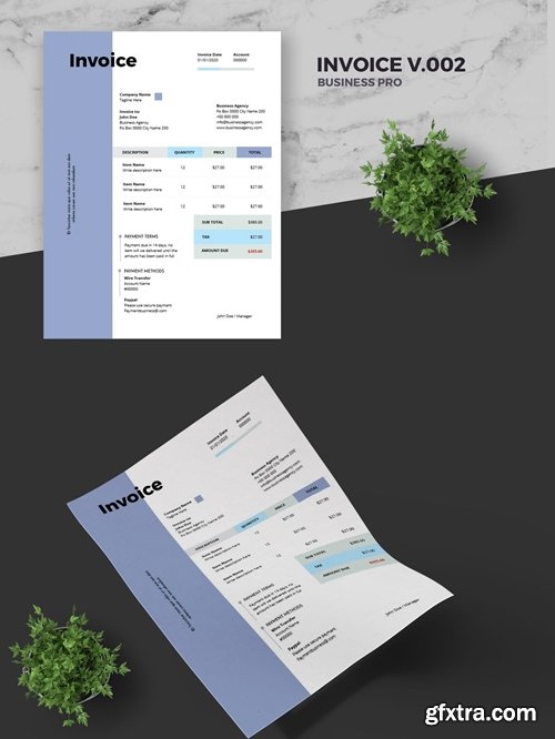 Clean Invoice Template Pro v.002