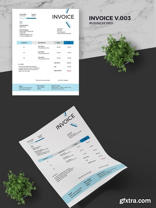 Clean Invoice Template Pro v.003