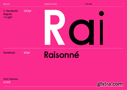 Raisonne Pro Font Family