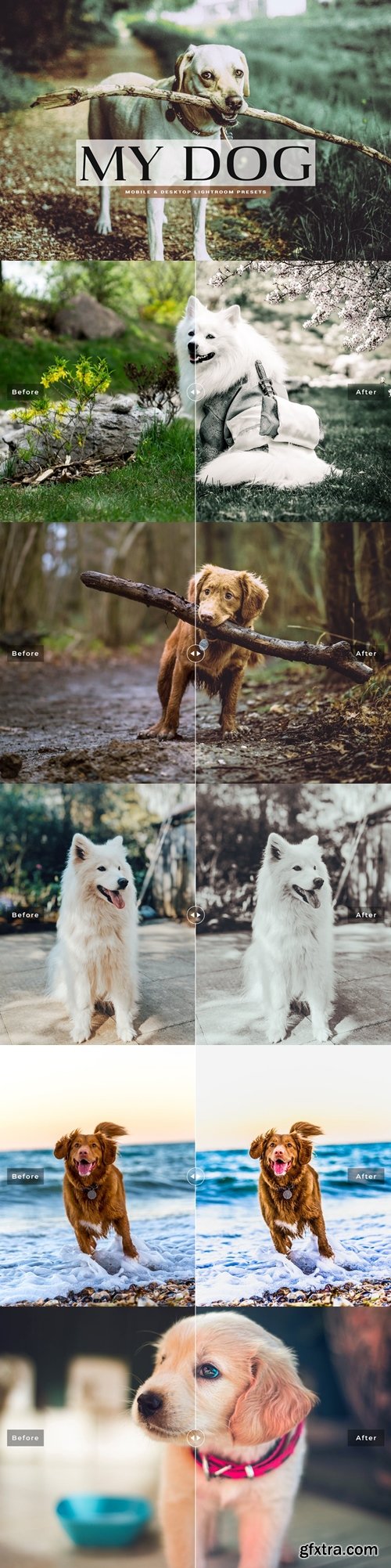 CM - My Dog Lightroom Presets 3714776