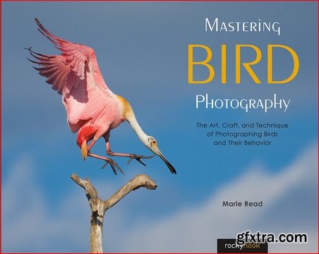 Mastering Bird Photography