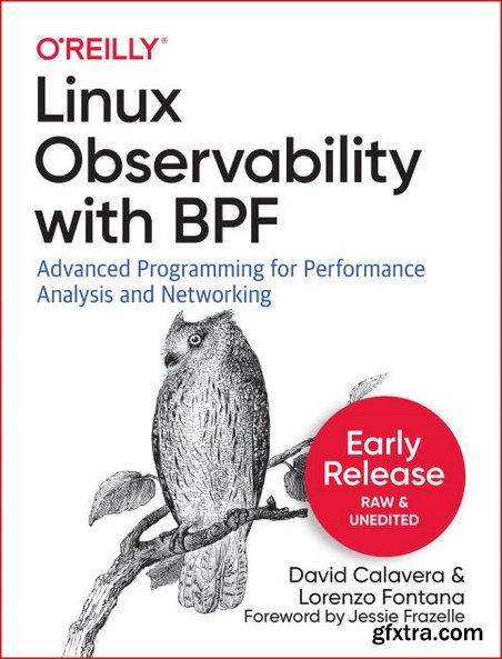 Linux Observability with BPF [Early Release]