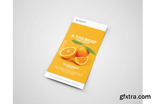 DL Flyer Mockup