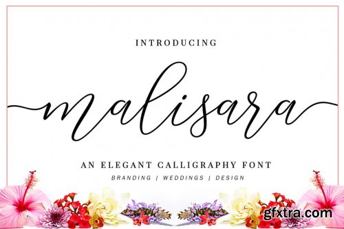 CreativeMarket - Malisara Script 3677985