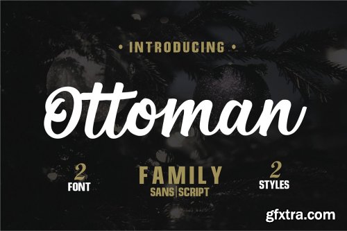 CreativeMarket - Font Pack Edition 1 3685493