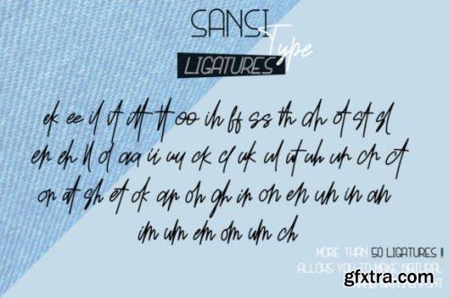 Sansi Type Font Duo