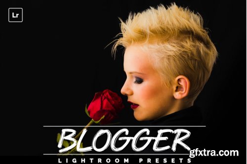 Blogger Lightroom Presests