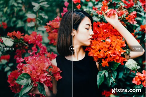 Vibrant Mobile & Desktop Lightroom Presets