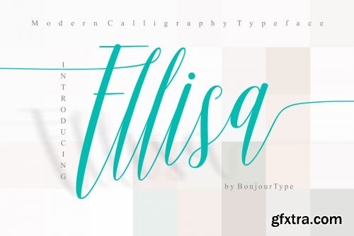 CreativeMarket - Ellisa Script Calligraphy 3691040