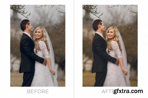 Royal Wedding Pro Photoshop Actions 