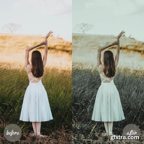 Lightroom Presets Film Matte