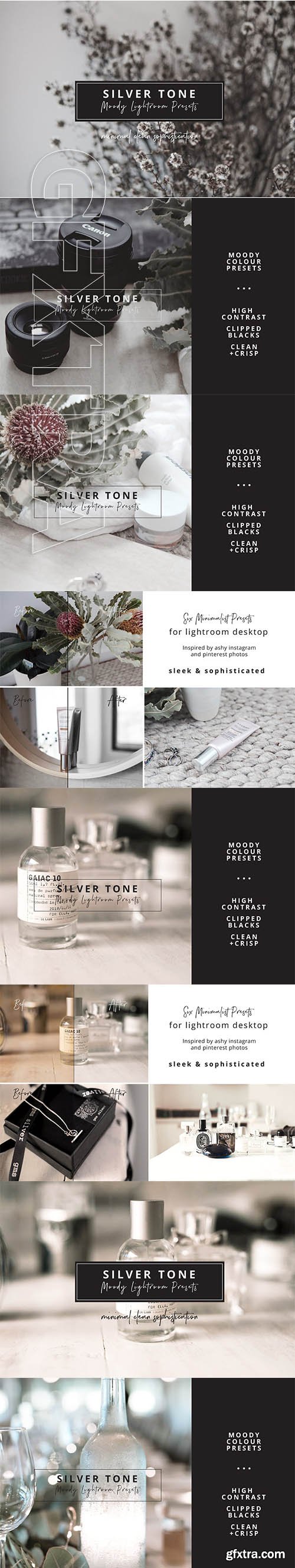 CreativeMarket - Ash Silver Lightroom Preset Desktop 3525189