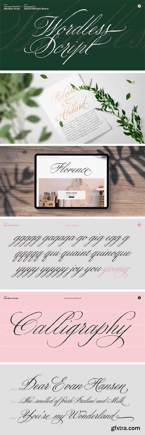 Wordless Script Font