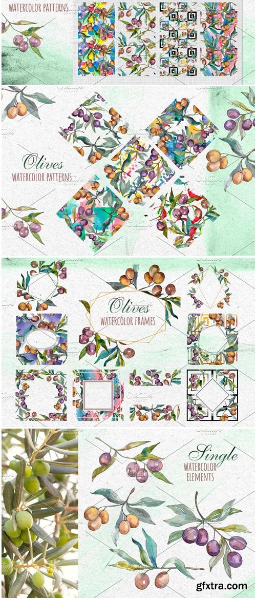 CM - Tuscan Olives Green Watercolor PNG 3740351