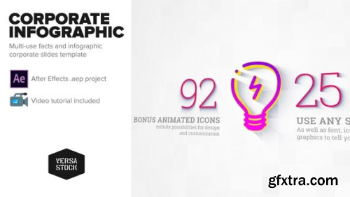 VideoHive Corporate Infographic Slides 23645881