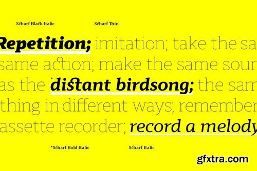 Scharf Font Family