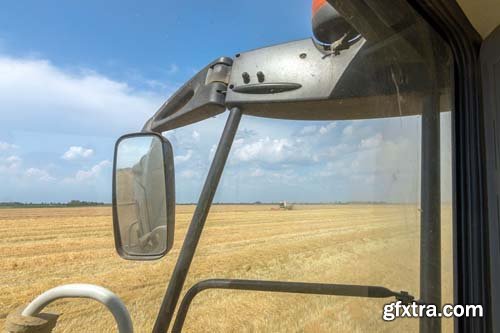 Photo - Field Of Wheat - 8xJPGs