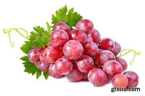 Photo - Fresh Grapes Isolated -12xJPGs