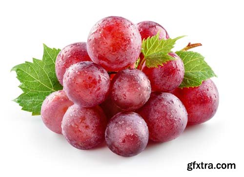 Photo - Fresh Grapes Isolated -12xJPGs