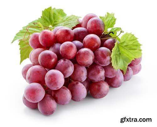 Photo - Fresh Grapes Isolated -12xJPGs