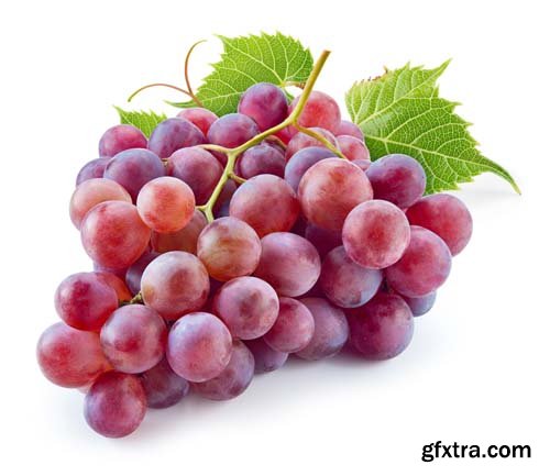 Photo - Fresh Grapes Isolated -12xJPGs