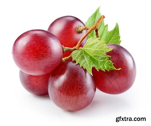 Photo - Fresh Grapes Isolated -12xJPGs