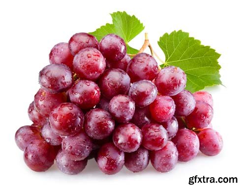 Photo - Fresh Grapes Isolated -12xJPGs