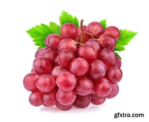 Photo - Fresh Grapes Isolated -12xJPGs