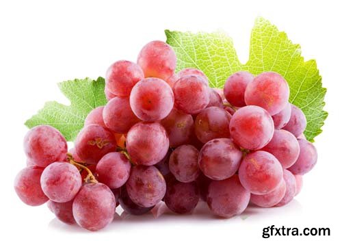 Photo - Fresh Grapes Isolated -12xJPGs