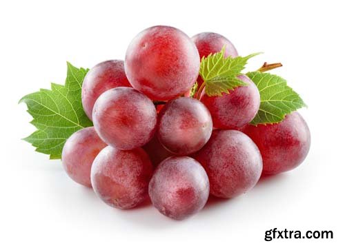 Photo - Fresh Grapes Isolated -12xJPGs