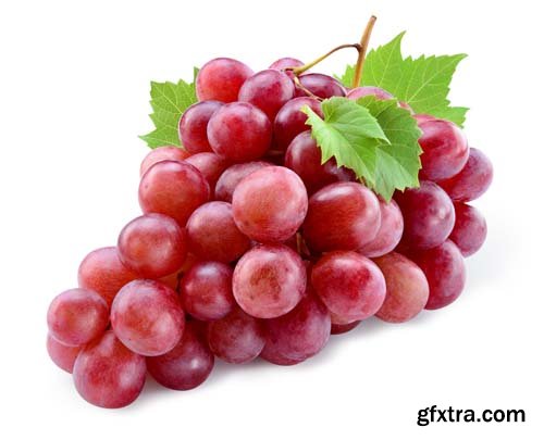 Photo - Fresh Grapes Isolated -12xJPGs