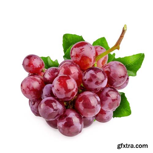 Photo - Fresh Grapes Isolated -12xJPGs