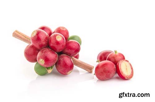 Photo - Litchi Isolated - 6xJPGs