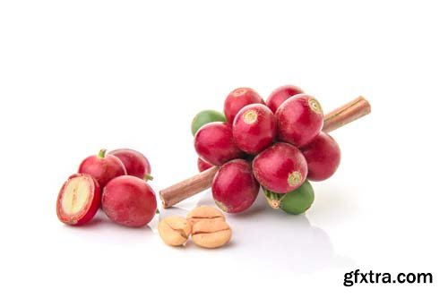 Photo - Litchi Isolated - 6xJPGs