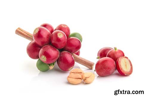 Photo - Litchi Isolated - 6xJPGs