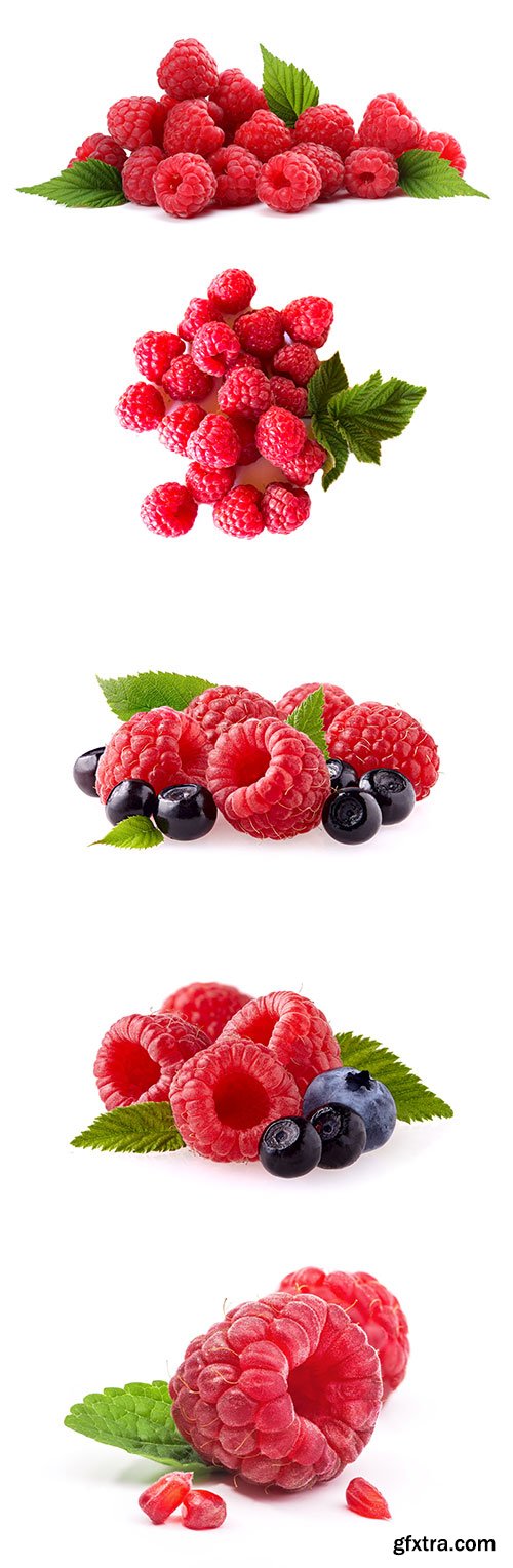 Photo - Raspberries With Blackberry Isolated - 8xJPGs