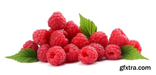 Photo - Raspberries With Blackberry Isolated - 8xJPGs