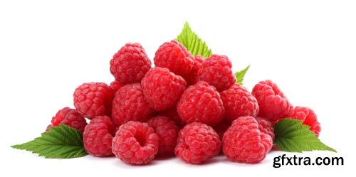 Photo - Raspberries With Blackberry Isolated - 8xJPGs