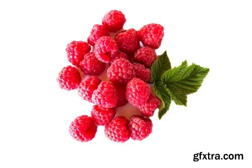 Photo - Raspberries With Blackberry Isolated - 8xJPGs