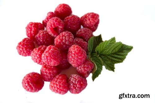 Photo - Raspberries With Blackberry Isolated - 8xJPGs