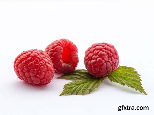 Photo - Raspberries With Blackberry Isolated - 8xJPGs