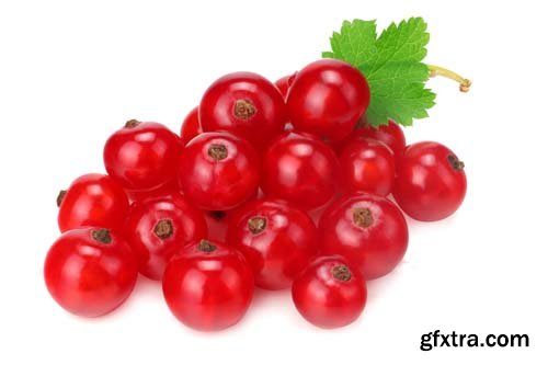 Photo - Red Currant Isolated - 5xJPGs