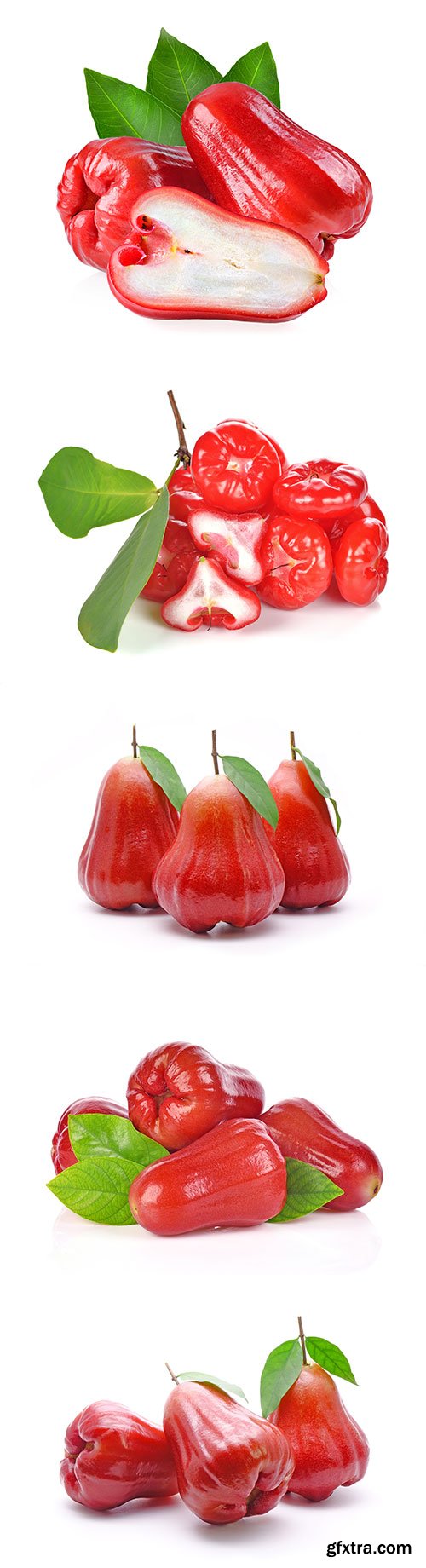 Photo - Rose Apple Or Bell Fruit With Green Leaves Isolated - 11xJPGs